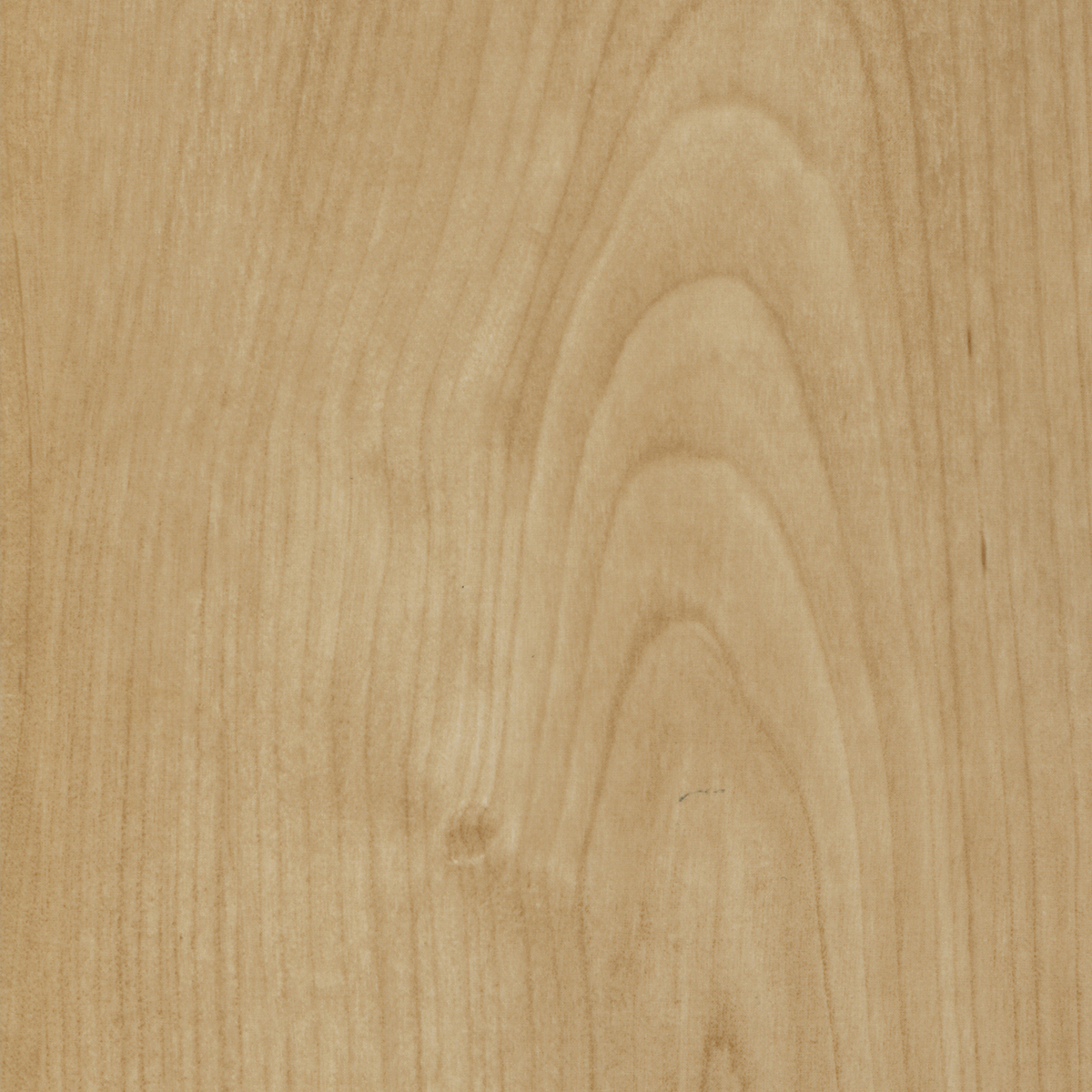 MirroFlex Door Skin Blonde Maple 48x84