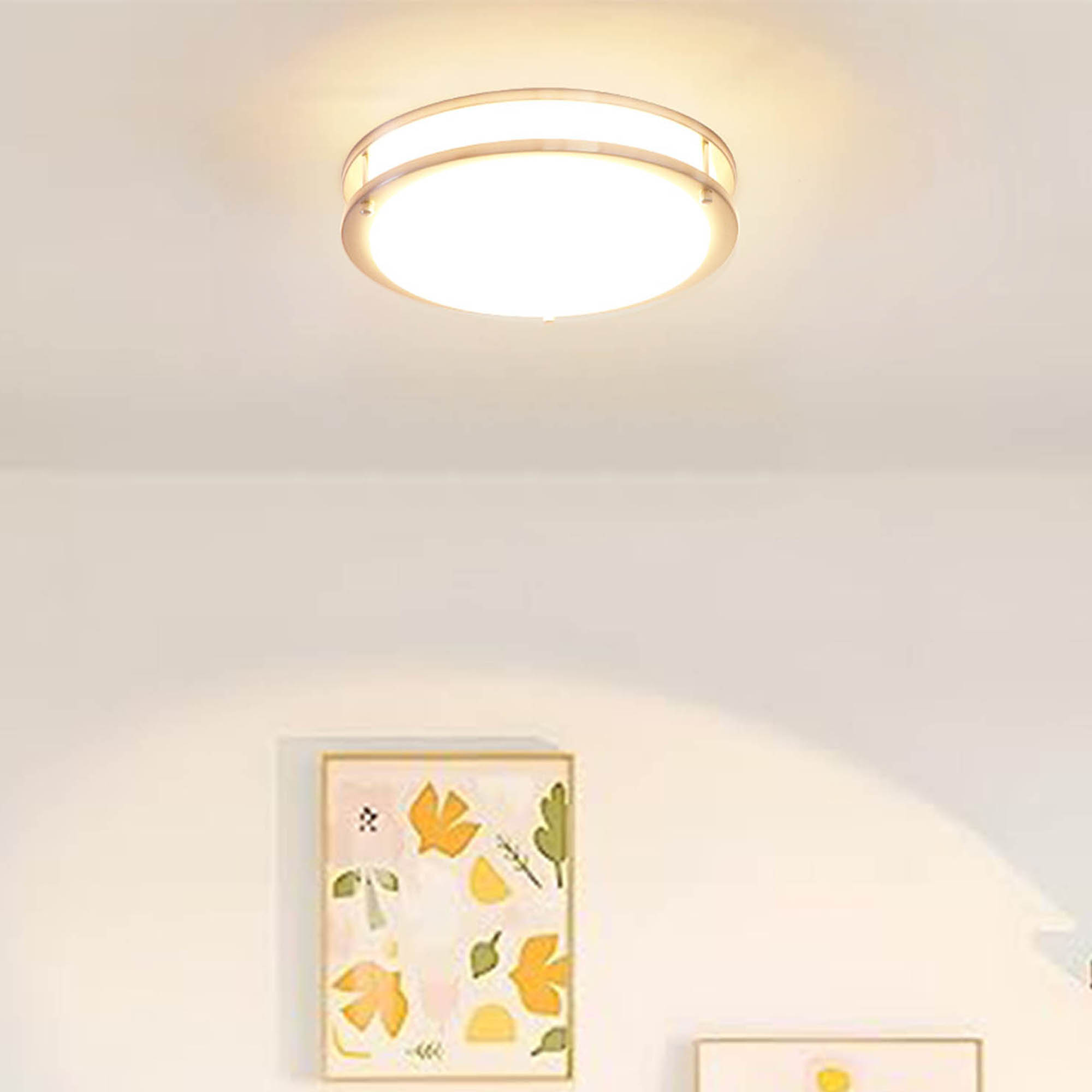 DR011016D-840BN - Flush Mount Light 1 -Light 10-in Brushed Nickel Integrated LED Flush Mount Light