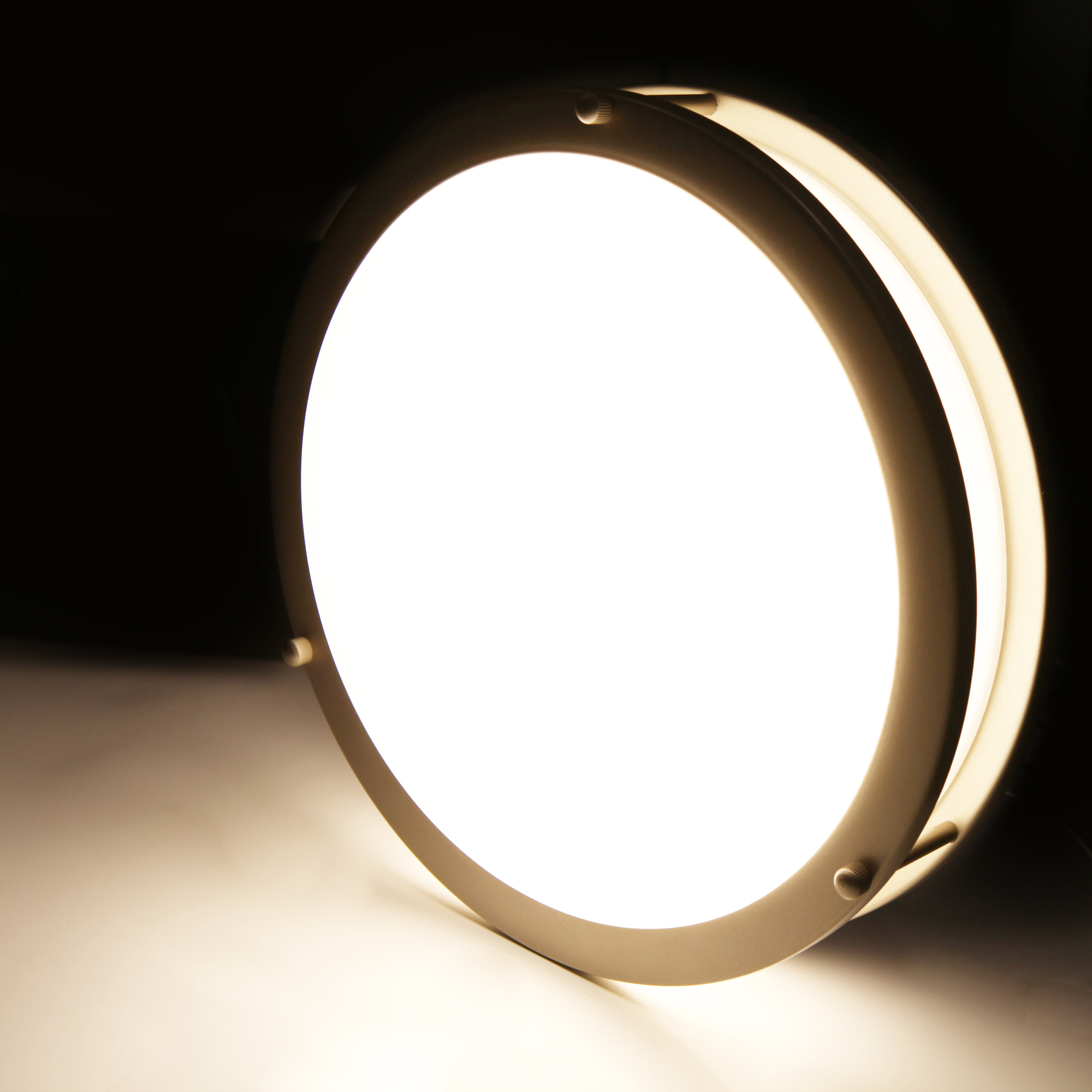 Flush Mount Light 1 -Light 12-in Brushed Nickel Integrated LED Flush Mount Light with Motion Sensor