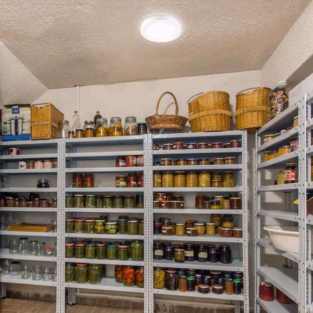 Flush Mount Light 1 -Light 5.25-in White Integrated LED Flush Mount Light