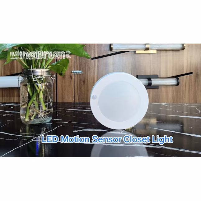 Flush Mount Light 1 -Light 7.5-in White Integrated LED Flush Mount Light